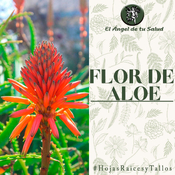 El Ángel de tu Salud - Flor de Aloe**
