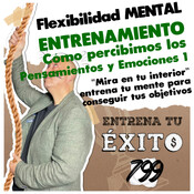 Cómo percibimos los Pensamientos y Emociones 1 - Mirar en tu interior - Conocete a ti mismo - ENTRENA TU ÉXITO -...