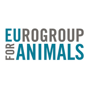 Piden a los eurodiputados que cumplan sus promesas animalistas