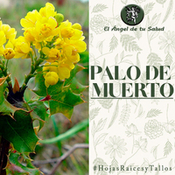 El Ángel de tu Salud - Palo de Muerto**