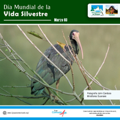 Día mundial de la Vida Silvestre