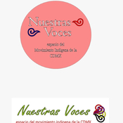 Nuestras Voces 19052025 p 347