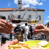 Reportaje sobre la feria del vino de Villaviciosa de Odón con varias entrevistas.