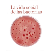 La vida social de las bacterias, con Manuel Espinosa