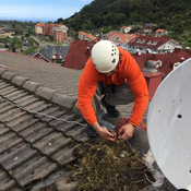 Santoña recupera esta primavera la campaña de control de gaviotas/ Mario Hierro, técnico de la empresa especializada