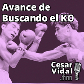 Avance de Buscando el KO - 17/01/25