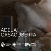 Hongos rosados en los jardines del museo