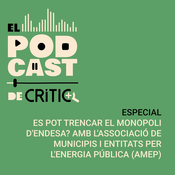 El pòdcast de CRÍTIC’: es pot trencar el monopoli d'Endesa?