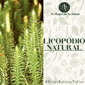 El Ángel de tu Salud - Licopodio Natural**