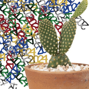 Cactus Confetti 14-Enero-2025