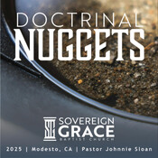 Doctrinal Nuggets 4 - Theology Proper