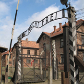 El Cervatillo 2x16: La experimentación médica en los campos de concentración nazis