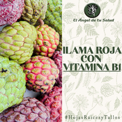 El Ángel de tu Salud - Ilama Roja con Vitamina B1**