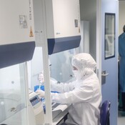 Marca España - Medicina Legal y Forense - 06/03/25