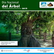 Día Nacional del Árbol.