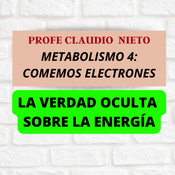 222. METABOLISMO 4: "¡Tu cuerpo funciona con ELECTRONES y no lo sabías!