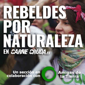 Rebeldes por naturaleza: Cómo se vincula la lucha ecologista con la de la vivienda (CARNE CRUDA #1494)