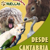 Huellas Cantabria programa de radio de la semana del Lunes 17 de febrero 2025- Policias por los animales y Gatucos