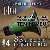 LA BARRERA DEL SO - 8ena edició de l’Orgull Boig
