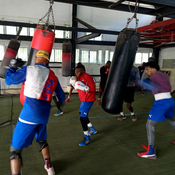Luminarias del boxeo cubano se darán cita en Camaguey