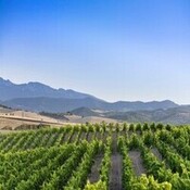 Esto es ciencia: Agricultura biodinámica, la magia agrícola