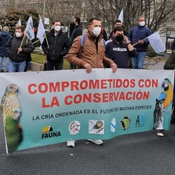 Ley de Protección, Derechos y Bienestar de los animales (Opinión de Fauna, ACAE-Galicia y AGCCA)