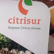 Relevantes proyectos en Cienfuegos de la Empresa de Cítricos Arimao