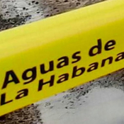 Conquistar la prosperidad con el esfuerzo de todos