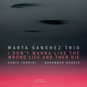 P-1263-Novetats mes concert Bill Evans