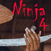 DESARROLLO PERSONAL NINJA #4