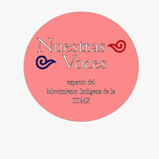 Nuestras Voces 14042025 p 342