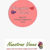 Nuestras Voces 10032025 p 339