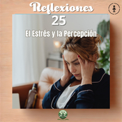 Episodio #359, Reflexion 25 (El Estrés y la Percepción: Cómo lo Vemos Todo)