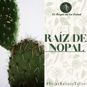 El Ángel de tu Salud - Raíz de Nopal**