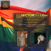 La Entrevista con Guillermina Anaya. Fallo de la Corte Inglesa a favor de la biología femenina. 290425. www.sectorfm.com