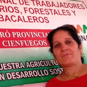 Trabajadores Agropecuarios, Forestales y Tabacaleros de Cienfuegos hacia el 1ro de Mayo