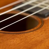 Nuestro flamenco - Festival de la Guitarra - 14/04/25