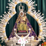 Programa del 29 de junio de 2011