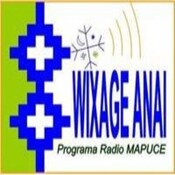 PROGRAMAS