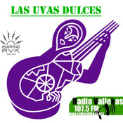 Las uvas dulces