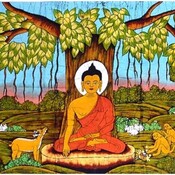 Sesión 7. Meditando la pandemia