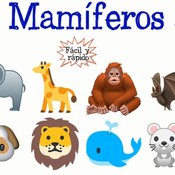 Los mamíferos