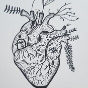 Diario de un corazón roto.