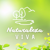 T6X05 NATURALEZA VIVA