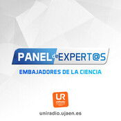 130 Panel de Expert@s: Grupo de Investigación Inclusión, Innovación e Investigación Social