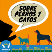 Sobre perros y gatos