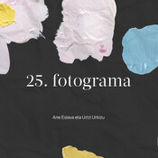 25. fotograma Irailak 25, Zinemaldiaren errepasoa