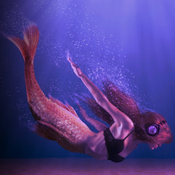 El Canto de la Sirena