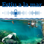 Estiu a la mar