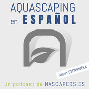 Episodio #161 | Cómo adaptar el abonado de tu acuario